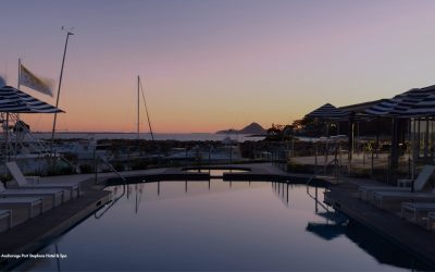 OpenAI Ads Are Coming, Here’s What Hotels Need to Know  9 MIN READ